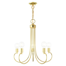 Livex Lighting 42925-02 - 5 Lt Polished Brass Chandelier