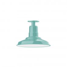 Montclair Light Works FMB182-48-L12 - 12&#34; Warehouse shade, LED Flush Mount ceiling light, Sea Green