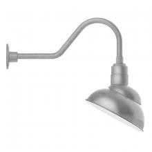 Montclair Light Works GNB121-49 - Emblem 12&#34; gooseneck wall light