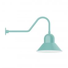 Montclair Light Works GNC125-48-B01-L13 - 16&#34; Prima shade, LED Gooseneck Wall mount, decorative canopy cover, Sea Green