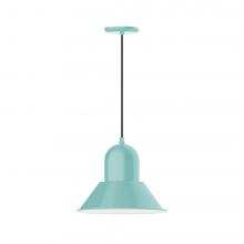 Montclair Light Works PEB124-48-L13 - 14&#34; Prima shade, LED Pendant with black cord and canopy, Sea Green