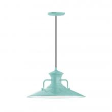 Montclair Light Works PEB143-48-L13 - 18&#34; Homestead shade, LED Pendant with black cord and canopy, Sea Green