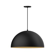 Montclair Light Works PEB229-41-75-L14 - 24&#34; XL Choices Shallow Dome Shade, medium base, black cord with canopy