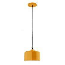 Montclair Light Works PEB419-21 - J-Series 8.5&#34; pendant