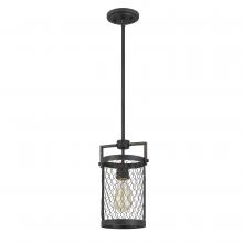 Worldwide Lighting Corp E80070-020 - Cooper 1-Light Guilded Iron & Seaside Oak Mini Pendant 6.25“ X 7.5” X 12.38“