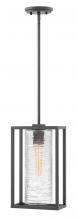 Hinkley Merchant 1252SK - Medium Hanging Lantern