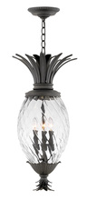 Hinkley Merchant 2122MB - Large Hanging Lantern