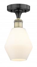 Innovations Lighting 616-1F-BAB-G651-6 - Cindyrella - 1 Light - 6 inch - Black Antique Brass - Semi-Flush Mount