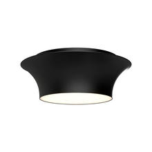  FM523013MB - Emiko 12-in Matte Black 2 Lights Flush Mount