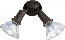 Nuvo SF76/523 - 2 Light - 10&#34; Flood Light- PAR38 with Adjustable Swivel - Bronze Finish