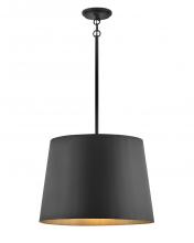 Hinkley 11154BK - Hinkley Lighting Adler Series 11154BK Exterior/Interior Pendant