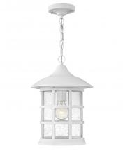 Hinkley 1862TW - Hinkley Lighting Freeport Coastal Elements Series 1862TW Exterior Hanging Lantern