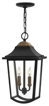 Hinkley 1972BK - Hinkley Lighting Burton Series 1972BK Exterior Hanging Lantern