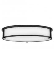 Hinkley 3244BK - Hinkley Lighting Lowell Series 3244BK Flush-Mount