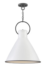 Hinkley 3555PT - Hinkley Lighting Winnie Series 3555PT Pendant