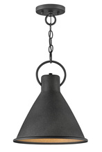 Hinkley 3557DZ - Hinkley Lighting Winnie Series 3575DZ Pendant