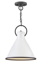 Hinkley 3557PT - Hinkley Lighting Winnie Series 3575PT Pendant