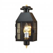 ELK Home 1059-BL-CL - American Heritage 16.5&#39;&#39; High 1-Light Outdoor Sconce - Black